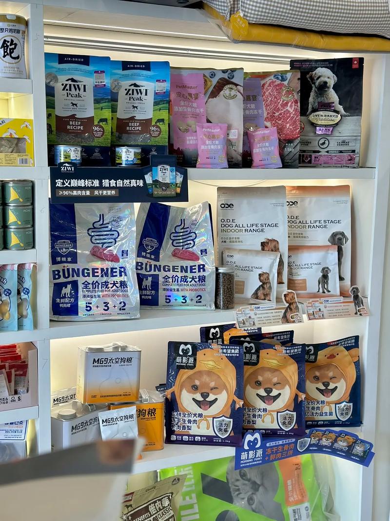 沈陽沈北新區(qū) 寵物用品店盤點(diǎn)與選擇指南